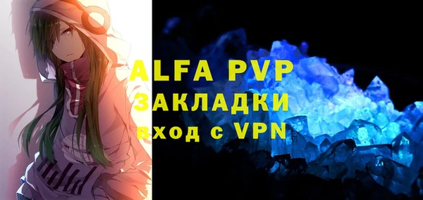 индика Заволжск