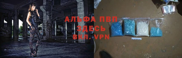 индика Заволжск
