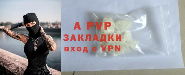 индика Заволжск