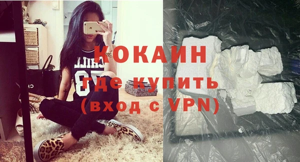 индика Заволжск