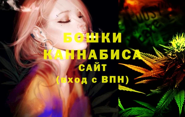 индика Заволжск