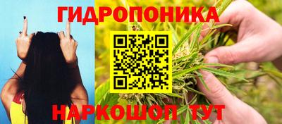 кокс Можайск