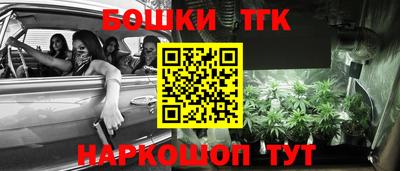 кокс Можга