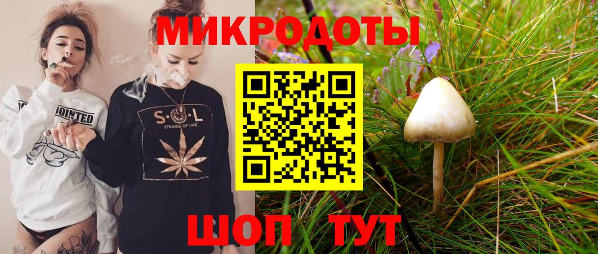 Псилоцибиновые грибы Psilocybine cubensis Старый Оскол