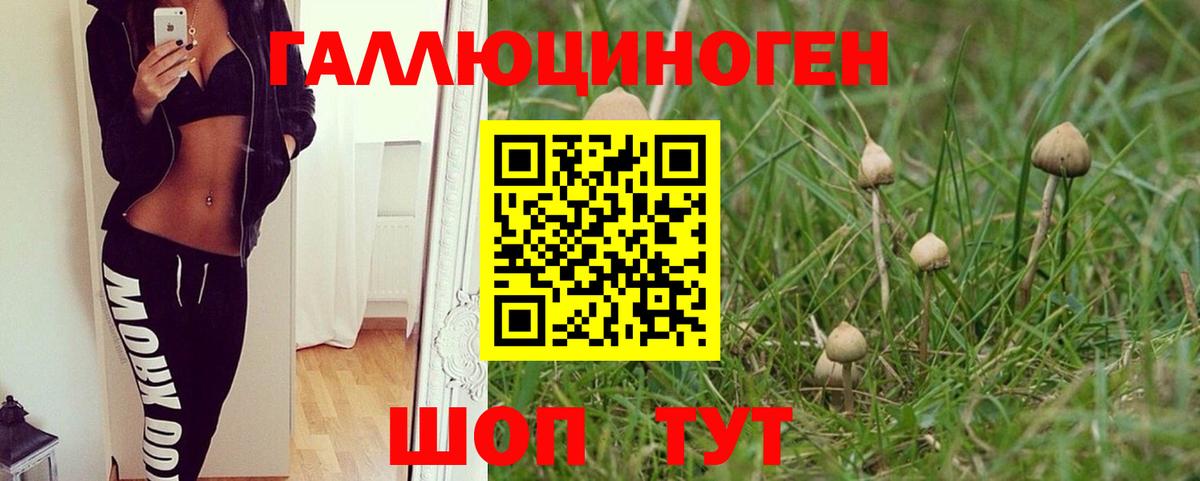 Галлюциногенные грибы MAGIC MUSHROOMS  Вход с VPN  Старый Оскол 