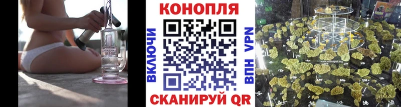МАРИХУАНА SATIVA & INDICA  купить наркоту  Старый Оскол 